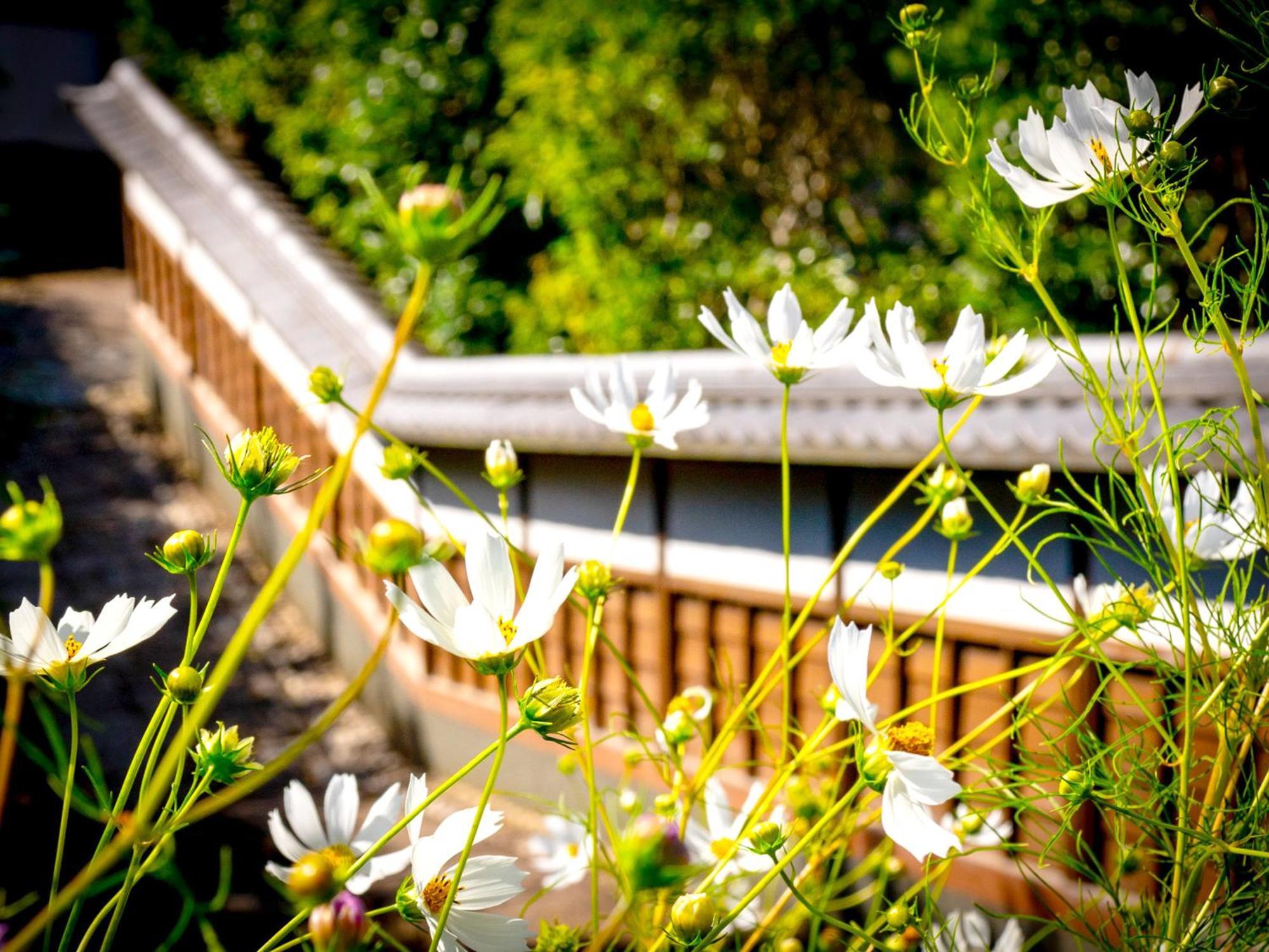 Kita-Kamakura 520 Hotel Exterior photo